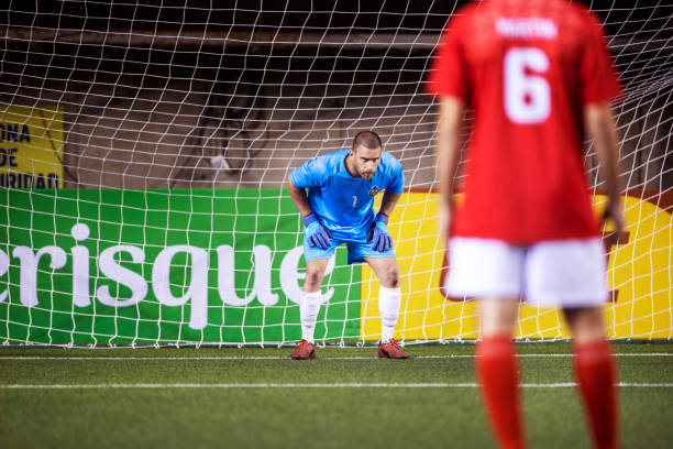 建立从青少 建立从青少