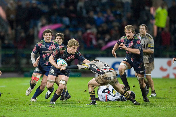 这种新颖的 这种新颖的